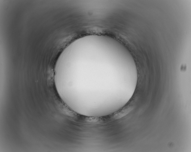 X0000096170624200802081413