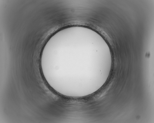 X0000096170625200802081412