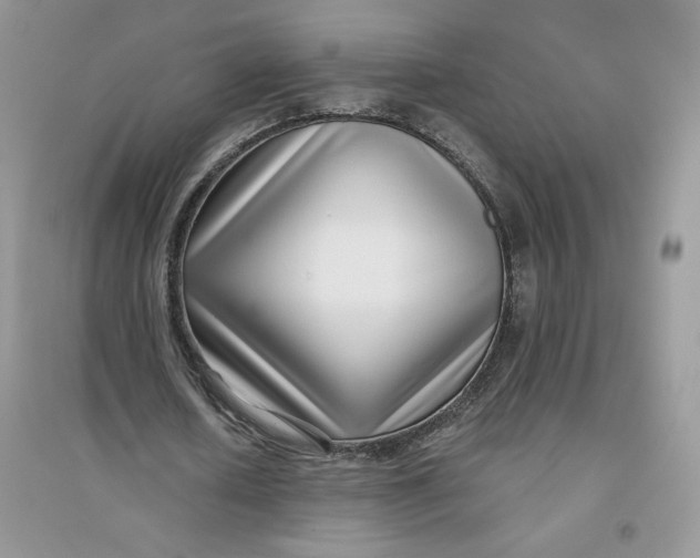 X0000096170626200802081412