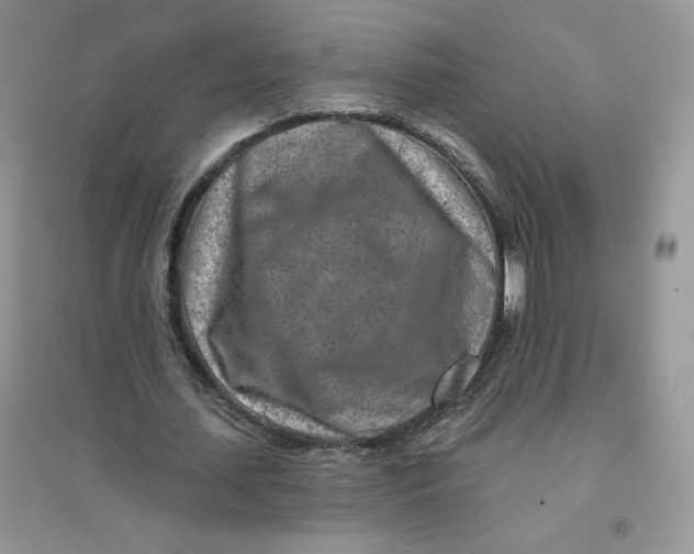 X0000096170627200802081412