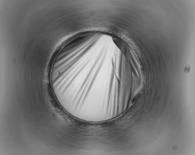 X0000096170628200802081412