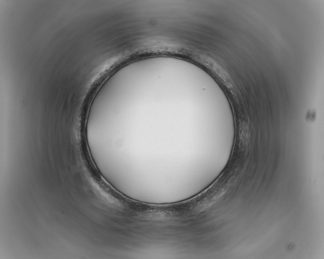 X0000096170629200802081412