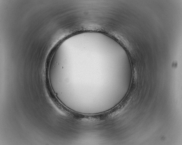 X0000096170630200802081412