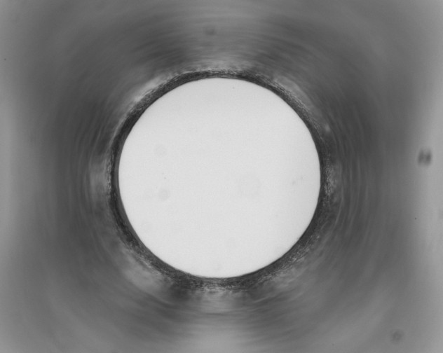 X0000096170632200802081412