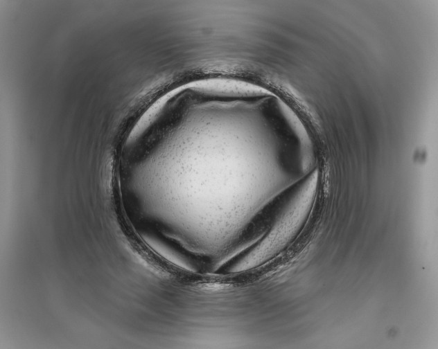 X0000096170637200802081412