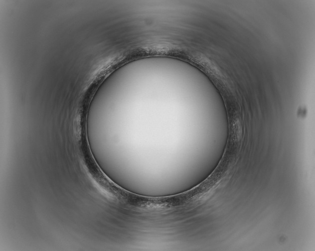 X0000096170638200802081412