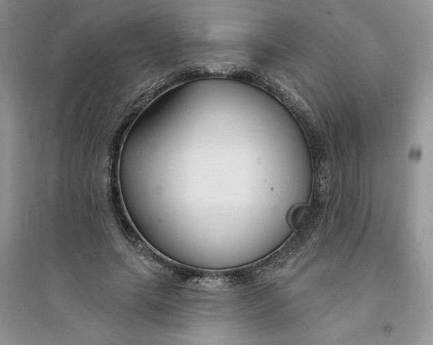 X0000096170639200802081412