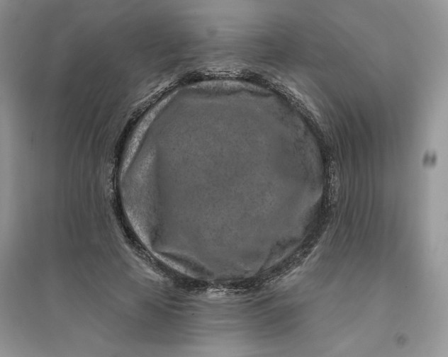 X0000096170641200802081412