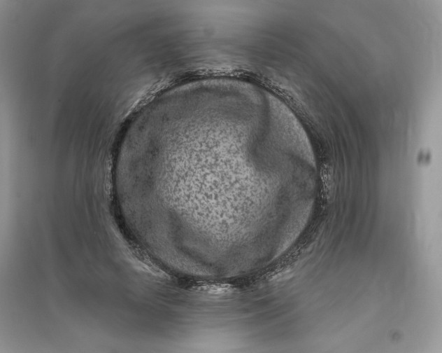 X0000096170642200802081412