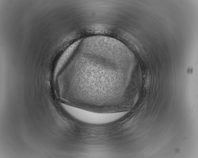 X0000096170643200802081412