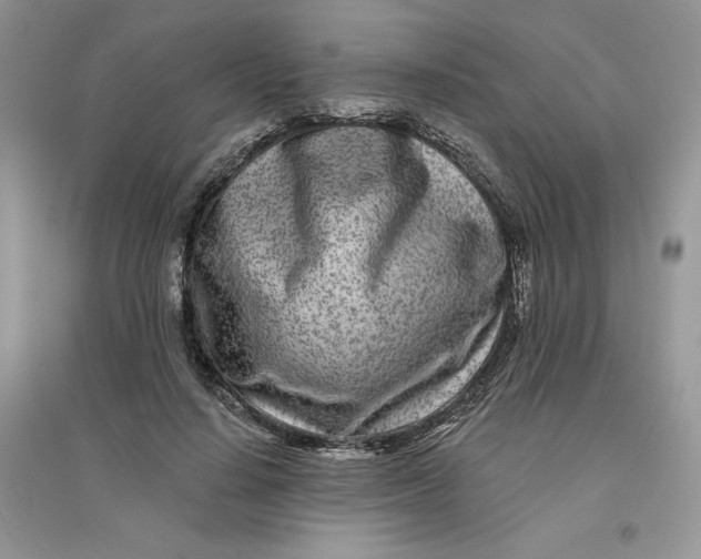 X0000096170644200802081412