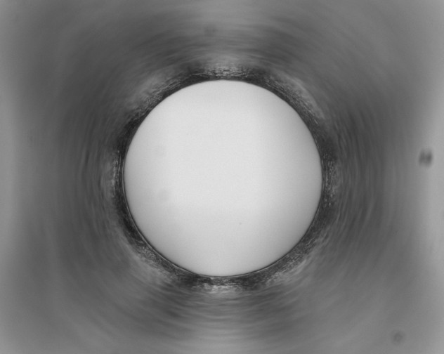 X0000096170645200802081412