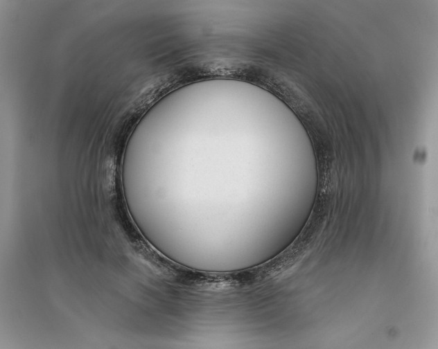 X0000096170646200802081412