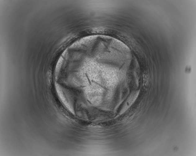 X0000096170648200802081412