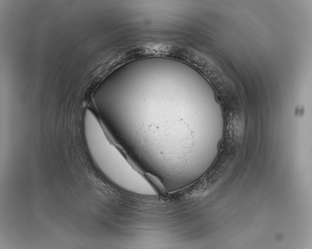 X0000096170649200802081412