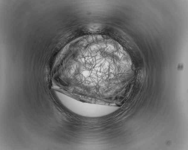 X0000096170651200802081412