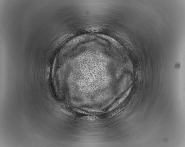 X0000096170652200802081412