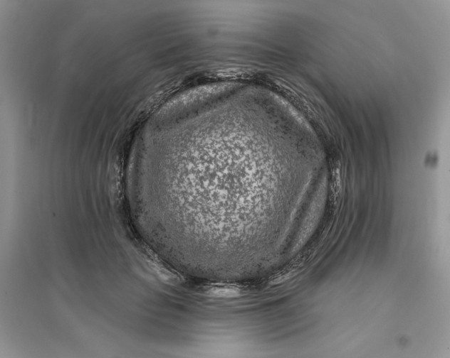 X0000096170653200802081412