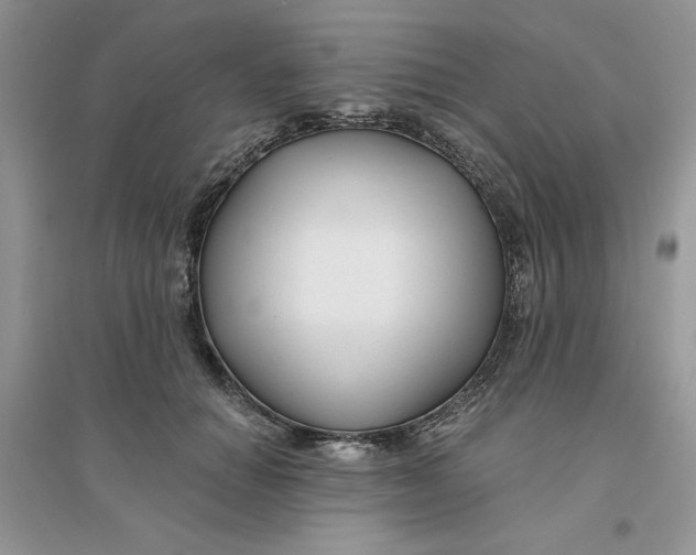 X0000096170654200802081412