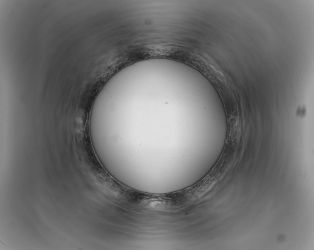 X0000096170655200802081412