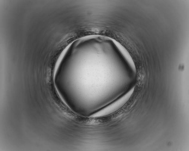 X0000096170656200802081412