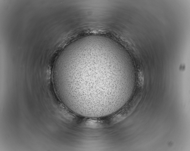 X0000096170657200802081412