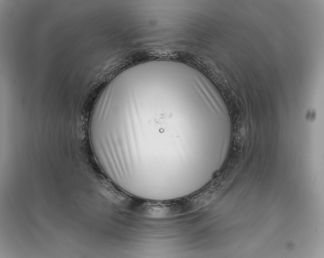 X0000096170658200802081412