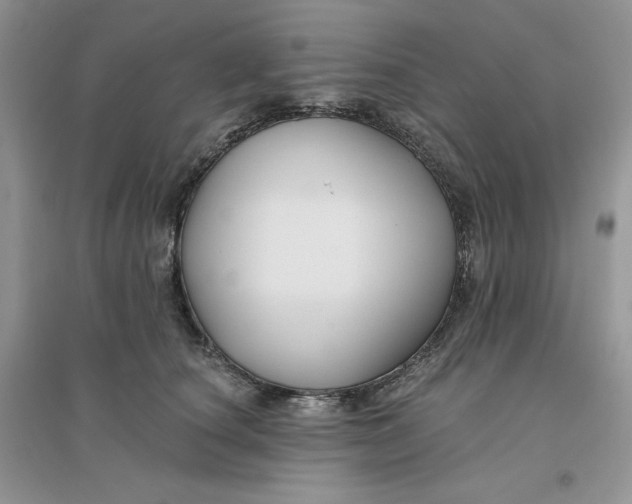 X0000096170660200802081412