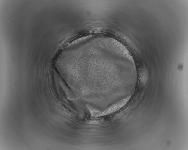 X0000096170661200802081412