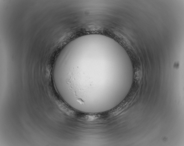 X0000096170662200802081412