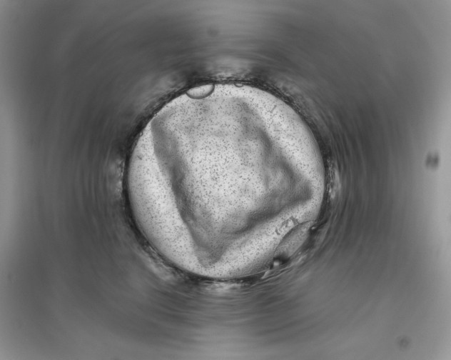 X0000096170664200802081412