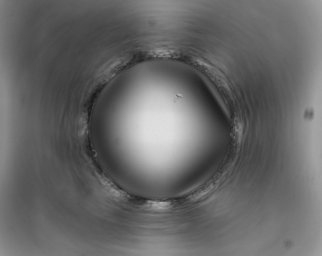 X0000096170665200802081412