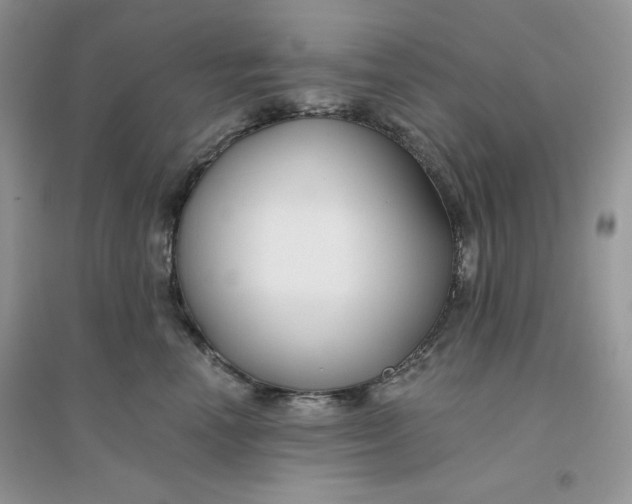 X0000096170666200802081412