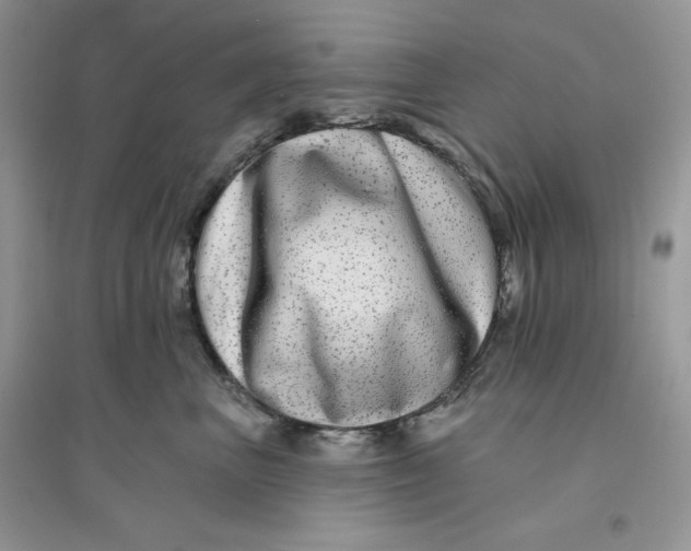 X0000096170667200802081412