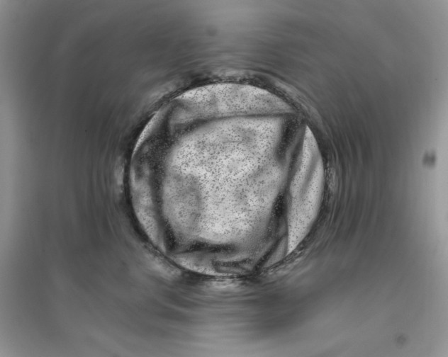 X0000096170668200802081412