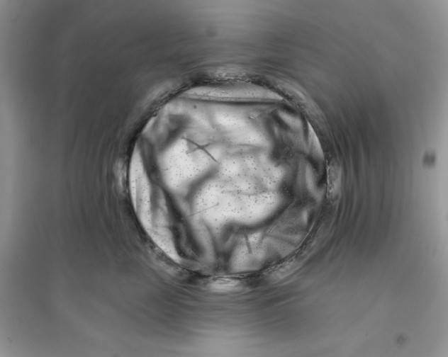 X0000096170669200802081412