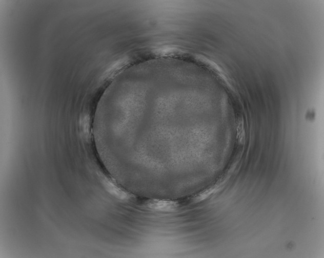 X0000096170670200802081413