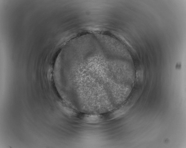 X0000096170671200802081413