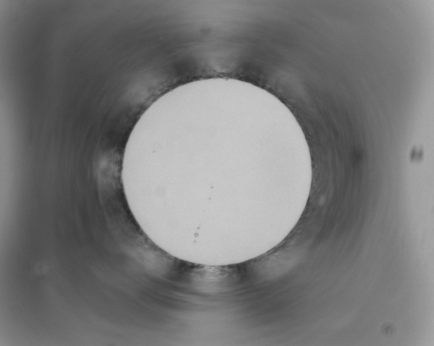 X0000096170672200802081413