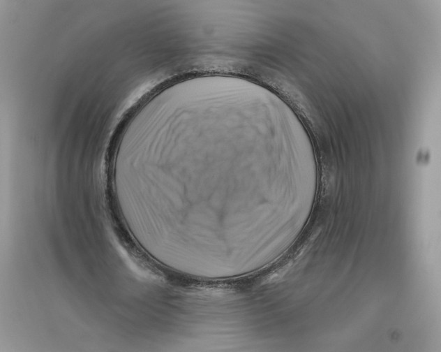 X0000096170674200802081412