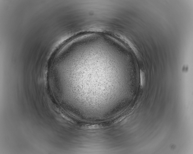 X0000096170675200802081412