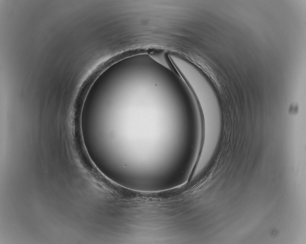 X0000096170676200802081412