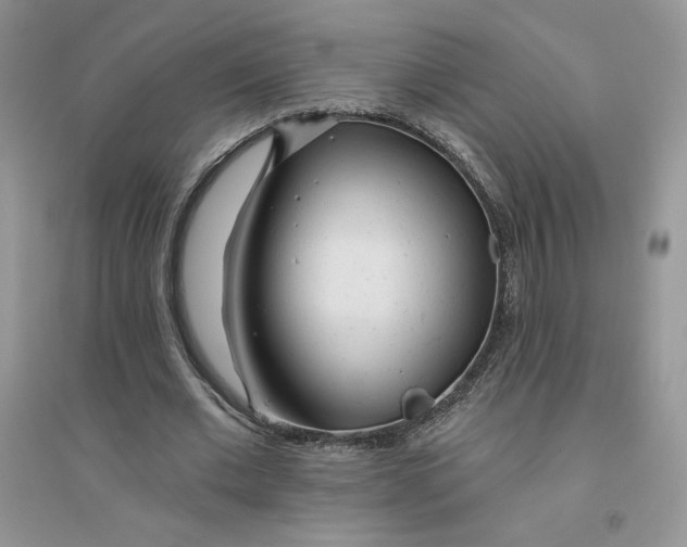 X0000096170677200802081412