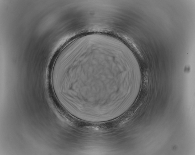 X0000096170678200802081412