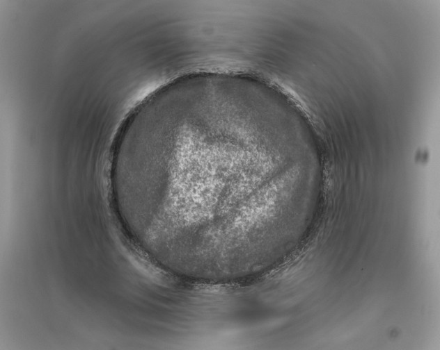 X0000096170679200802081412