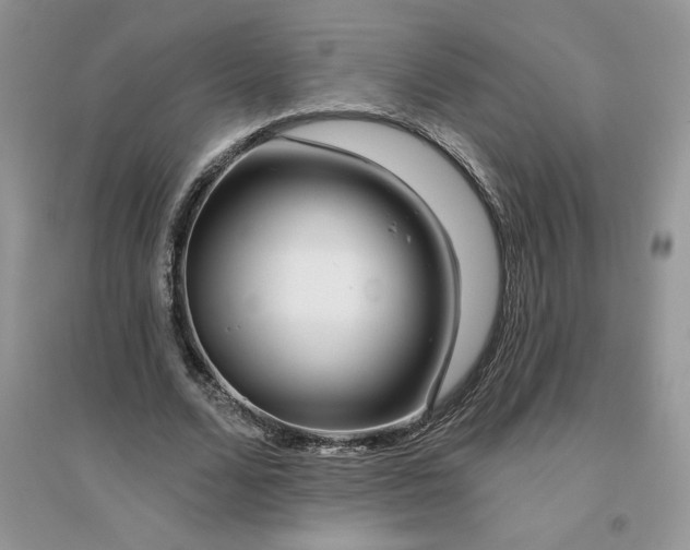 X0000096170680200802081412