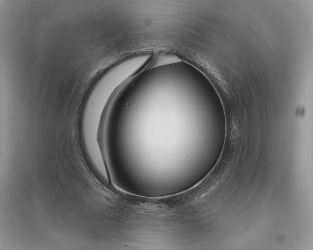 X0000096170681200802081412