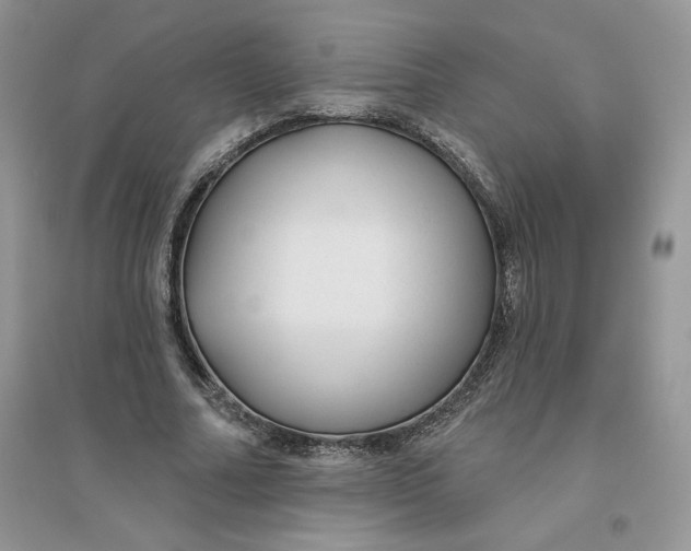 X0000096170682200802081412