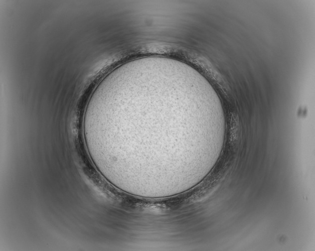 X0000096170683200802081412