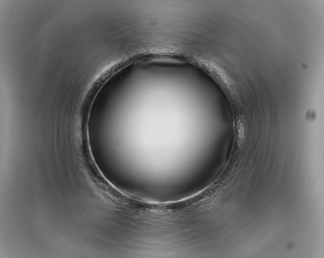 X0000096170684200802081412